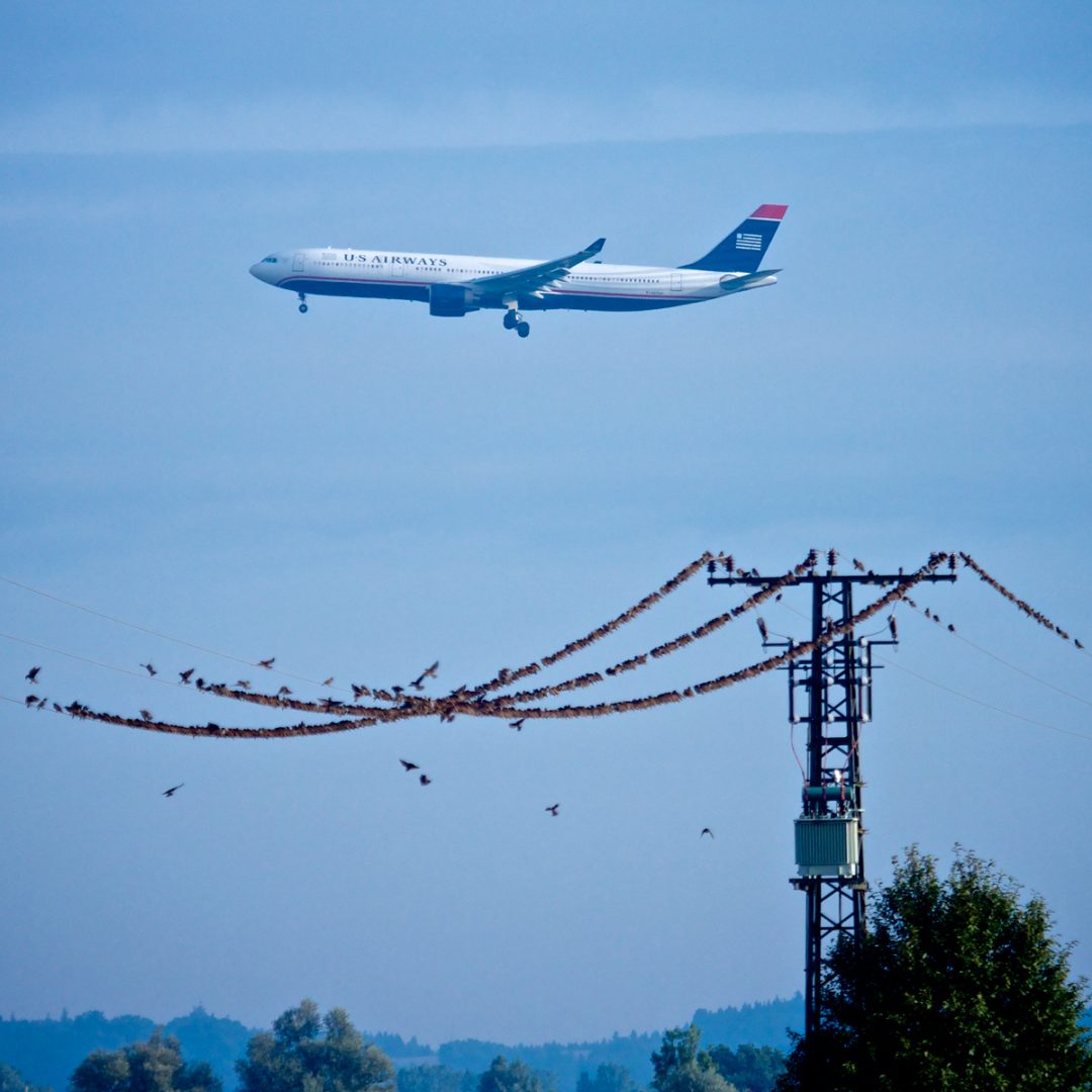 Two kinds of Flight