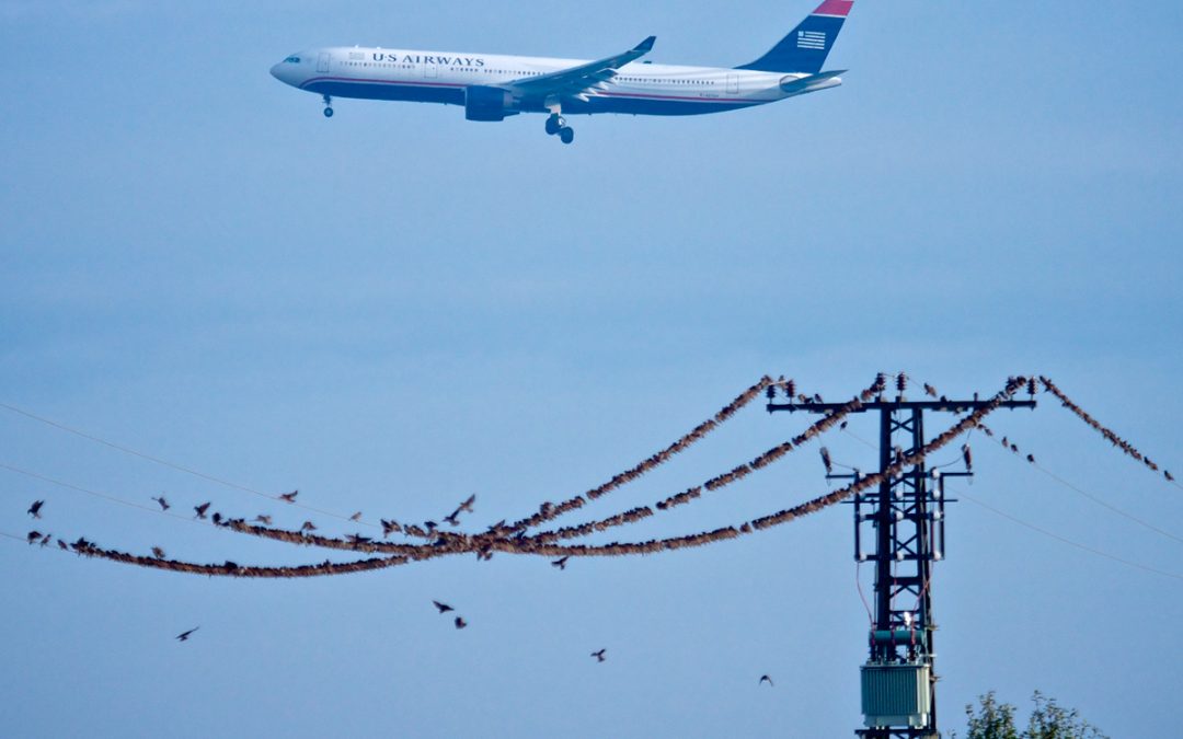 Two kinds of Flight