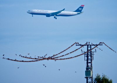 Two kinds of Flight